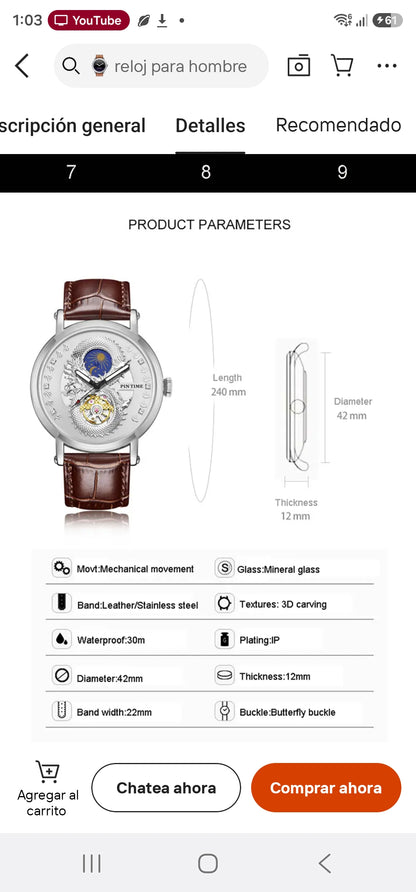 Men's Automatic Mechanical Watch