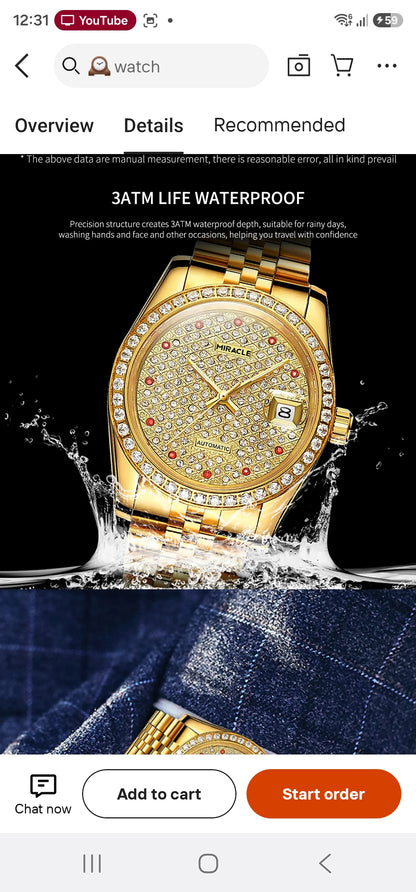 Men's Automatic Mechanical Watch