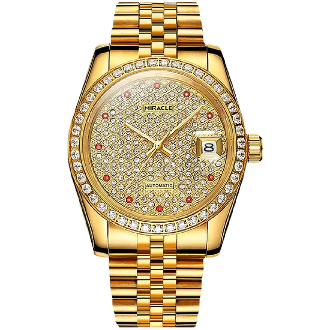 Men's Automatic Mechanical Watch